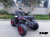 Квадроцикл GBM MAVERICK 300 (2024)