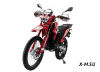 Мотоцикл MOTOLAND (МОТОЛЕНД) GL250 ENDURO (172FMM-5/PR250) (XL250-В)