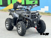 Квадроцикл PROMAX ATV 250 MAX