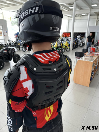 Мотозащита (черепаха) ACE BIKER XD4-96 цв. Черный р.L