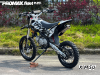 Мотоцикл (питбайк) PROMAX FIDET (ФАЙДЕТ) 145E PRO 14/12
