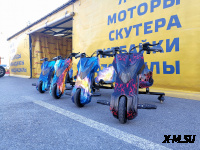 Электроскутер Дрифт Карт Drift-Trike Promax Mi101 хип-хоп