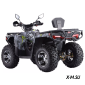 Квадроцикл Dazzle EXR 300